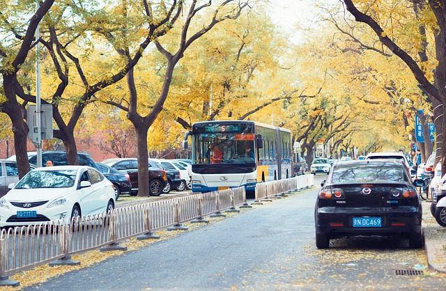 Beijing Restaurant Abouts